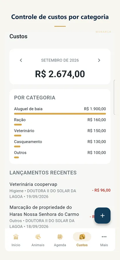 Controle de custos